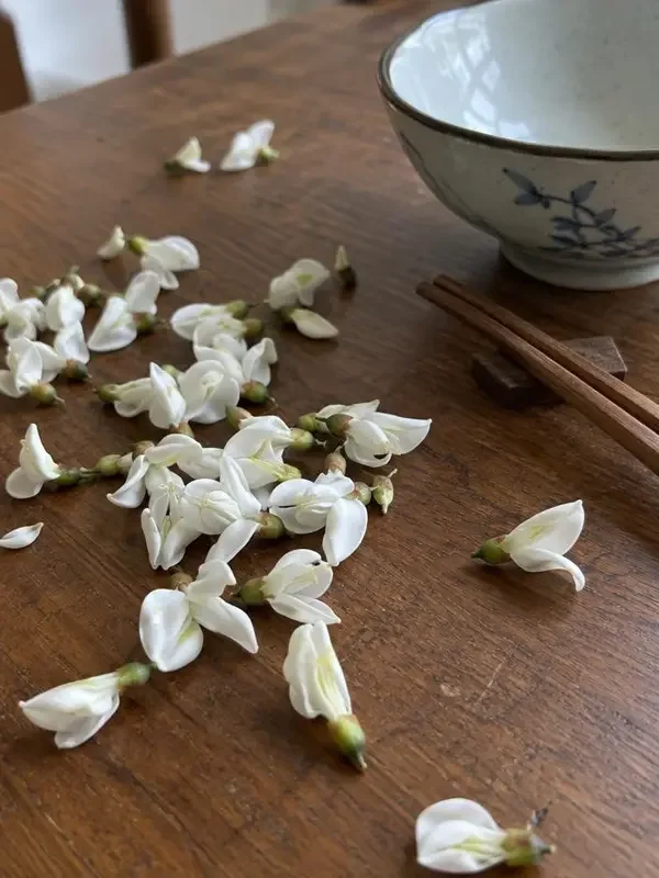 槐花落在饭桌上海报，免费a v网站电影片单